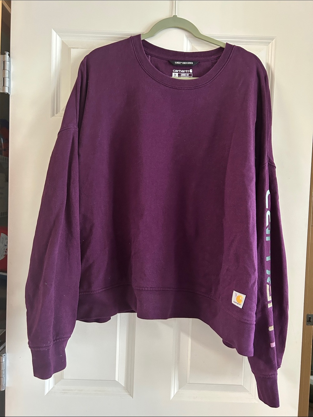 Carhartt tencel fiber series loose fit sleeve graphic sweatshirt 2x
